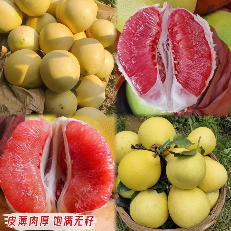 走进柚子种植基地:感受大自然的馈赠